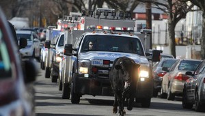 VIDEO: Z jatiek utiekol býk, naháňačka trvala tri hodiny