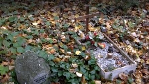 V Bratislave vznikajú nelegálne zvieracie cintoríny. Odborníci upozorňujú, že to môže byť pre ľudí nebezpečné