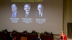 Vyhlásili laureátov Nobelovej ceny za medicínu