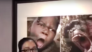 Tak toto trochu prepískli: Múzeum porovnáva černocha s opicou!