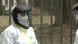 "Premorenosť" Čechov je nízka, s ňou ale aj stupeň imunizácie spoločnosti proti koronavírusu