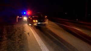 Žene skrížila cestu viac ako stokilová samica diviaka. V aute s ňou sedela aj dcéra