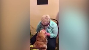 Dojímavé VIDEO: Nevidiaca dôchodkyňa po prvýkrát uvidela svojho vodiaceho psa