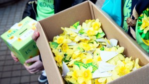 Kiska: Deň narcisov je najmä o spolupatričnosti s chorými