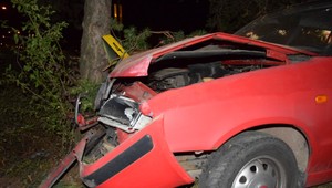 Opitý vodič unikal pred policajtmi. Nakoniec s autom narazil do stromu