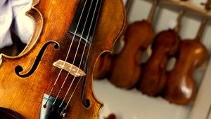 Pomsta ako sa patrí. Exmanželovi zničila zbierku za takmer milión