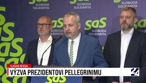 Tlačová beseda strany SaS o výzve pre Pellegriniho pred samitom NATO