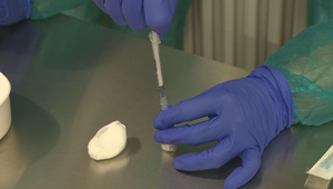 Čakanie na správu SAV pokračuje. Termín zverejnenia je neznámy