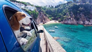 Ak cestujete autom na dovolenku buďte opatrní. Kokpit auta je plný nástrah