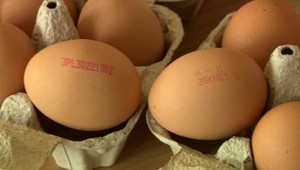 Kontrola vajec. Odberatelia nevedeli o nevyhovujúcom výrobku