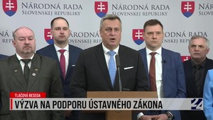 Tlačová beseda SNS o podpore ústavného zákona