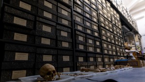 Depozitár plný kostier