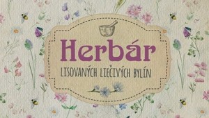 Krásna kniha poteší všetky milovníčky byliniek: Čo všetko vás naučí Herbár?