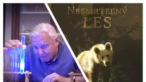 Chcete sa dozvedieť, ako chrániť našu planétu? Ekotopfilm-Envirofilm štartuje už o dva dni