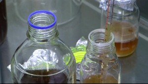 Na trh prichádza pivo, ktoré podporuje imunitný systém