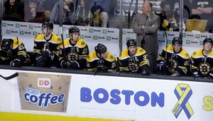 NHL: Boston podľahol Ottawe, Chára s mínusovým bodom