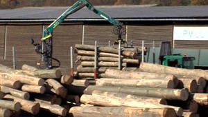 Pre údajnú krádež dreva dostal hodinovú výpoveď. Po rokoch ho štátny podnik zamestnal znova