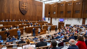 Řádek: To, čo predviedli poslanci v parlamente, bola strašná hanba. Naď a Šeliga Hegera potupili