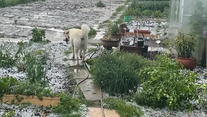 Silná búrka s krupobitím zničila úrodu na severovýchode, zasahovalo vyše 60 hasičov