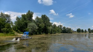 Na Zelenej vode našli mŕtvolu. Prípad rieši polícia