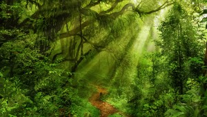 TENTO kmeň sa ešte nikdy nestretol s civilizáciou: Neuveríte, ako dnes žije