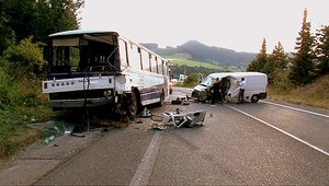 Vodiča (73) oslepilo slnko, napálil do autobusu