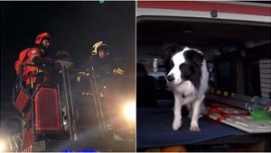 Psovod Marián pre TV JOJ opísal záchrannú akciu po výbuchu plynu v Prešove. Pes Lobo sa stal hrdinom