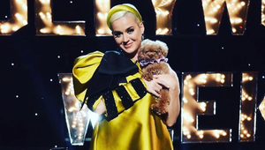 Nevie, čo so sebou?! Tehotná speváčka strieda jeden šialený kostým za druhým!