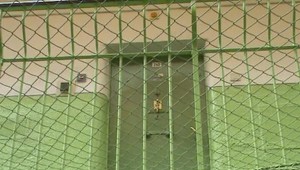 Kradol na fare, skončil vo väzbe