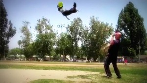 Extrémne skoky, kolobežka, potápanie. Pre tohto psíka maličkosť!