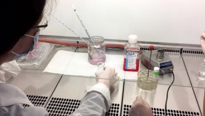 Ohľadne stimulov, ktoré ministerstvo školstva rozdáva na vedu a výskum, sa objavili ďalšie podozrivé informácie