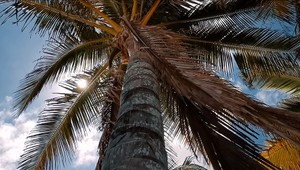 Pozrite si, aké neuveriteľné videá sa dajú robiť s Huawei P30 Pro