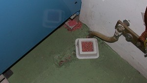 Jed na potkany zabil v Číne škôlkara