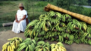 Po viac ako 20 rokoch skončila banánová vojna