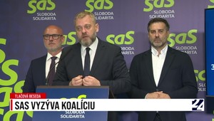 Tlačová beseda strany SaS s výzvou smerovanou vládnej koalícii