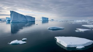 Tento obrovský tvor pláva v oceáne od roku 1600 a stále žije