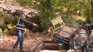 Šokujúci objav v lese pri rušnej ceste: V kufri našli ľudské telo