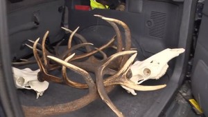 Pytliakom sa môžete stať aj bez toho, aby ste o tom vedeli