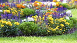 Kvetinový záhon je korunou krásy každej záhrady: Aké kvety sa hodia práve vám?