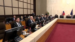 Poslanci na rokovanie meškali. Rumana ako kandidát do Luxemburgu dostal zelenú