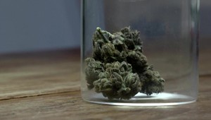 Nemecký minister zdravotníctva plánuje zlegalizovať držbu konopy do 30 gramov