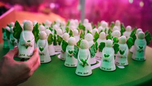 Vitamínové infúzie na pracovisku, hudobná miestnosť s klavírom a bubnami aj plná náhrada príjmu počas PN až 60 dní ročne. Union pozná víťazov súťaže Zdravá firma roka 2025