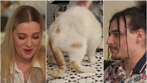 Keď nebude chutiť hosťom, možno aspoň mačke áno: Andrej na stôl položí zvieraciu adeptku!