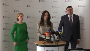 Tlačová beseda ministerky zdravotníctva po rokovaní so zástucami ZMOS a pediatrov