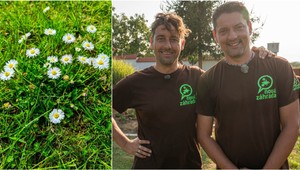 Rastie vám v trávniku samá burina? Vaša záhrada sa vám tým snaží povedať dôležitú vec!