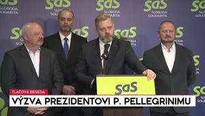 Tlačová beseda: Výzva SaS prezidentovi