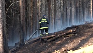 Lesy na Kysuciach v plameňoch. Zasahovalo až 150 hasičov