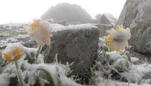 Snežilo, mrzlo a fúkalo. Na čo sa majú pripraviť turisti v Tatrách?
