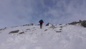 Do Vysokých Tatier sa vrátil život. Ochranári sa obávajú ohňostrojov