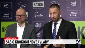 Tlačová beseda strany SaS o krokoch novej vlády